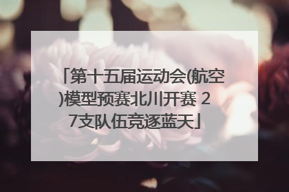 第十五届运动会(航空)模型预赛北川开赛 27支队伍竞逐蓝天