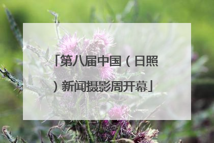 第八届中国（日照）新闻摄影周开幕
