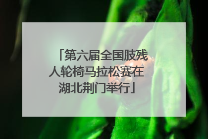 第六届全国肢残人轮椅马拉松赛在湖北荆门举行