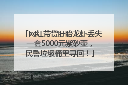 网红带货盱眙龙虾丢失一套5000元紫砂壶，民警垃圾桶里寻回！