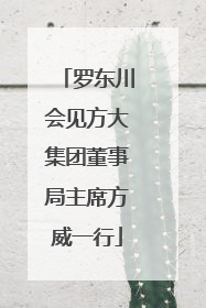 罗东川会见方大集团董事局主席方威一行