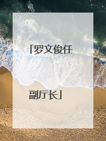 罗文俊任副厅长