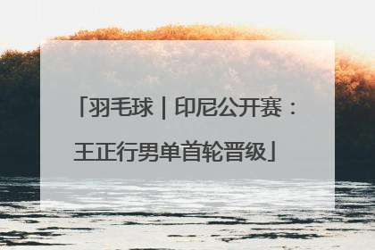 羽毛球｜印尼公开赛：王正行男单首轮晋级