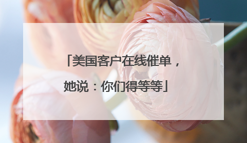 美国客户在线催单，她说：你们得等等