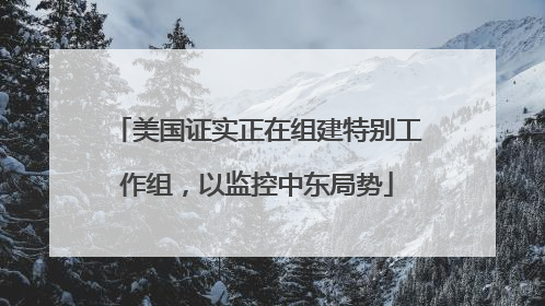 美国证实正在组建特别工作组，以监控中东局势