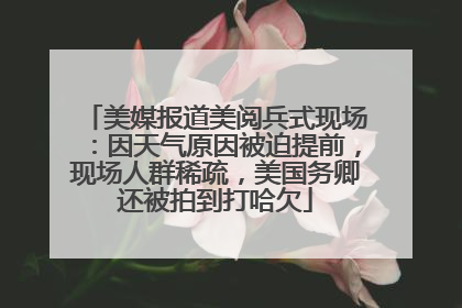 美媒报道美阅兵式现场：因天气原因被迫提前，现场人群稀疏，美国务卿还被拍到打哈欠