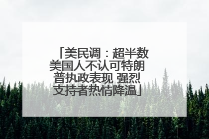 美民调：超半数美国人不认可特朗普执政表现 强烈支持者热情降温