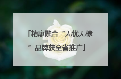 精康融合“无忧无棣”品牌获全省推广