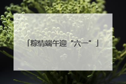 粽情端午迎“六一”