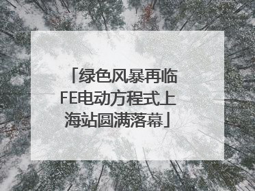 绿色风暴再临 FE电动方程式上海站圆满落幕
