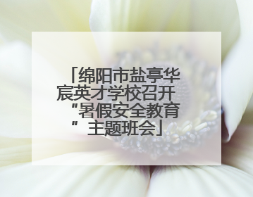绵阳市盐亭华宸英才学校召开“暑假安全教育”主题班会