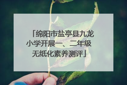 绵阳市盐亭县九龙小学开展一、二年级无纸化素养测评