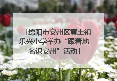 绵阳市安州区黄土镇乐兴小学举办“跟着地名识安州”活动