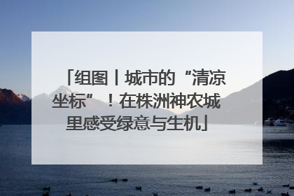 组图丨城市的“清凉坐标”！在株洲神农城里感受绿意与生机