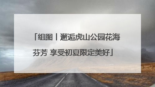 组图丨邂逅虎山公园花海芬芳 享受初夏限定美好