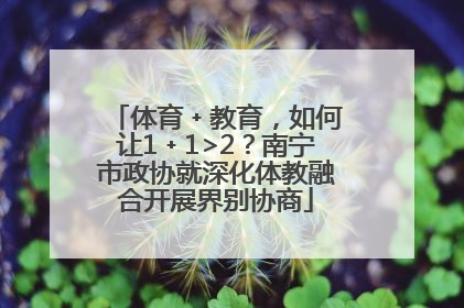 体育﹢教育，如何让1﹢1>2？南宁市政协就深化体教融合开展界别协商
