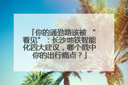 你的通勤路该被 “看见”：长沙地铁智能化四大建议，哪个戳中你的出行痛点？