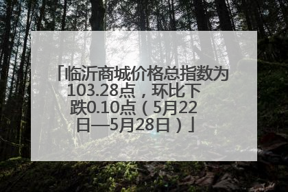临沂商城价格总指数为103.28点，环比下跌0.10点（5月22日—5月28日）