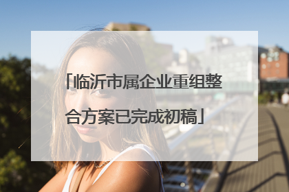临沂市属企业重组整合方案已完成初稿