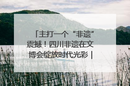 主打一个“非遗”震撼！四川非遗在文博会绽放时代光彩｜文博向“新”