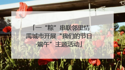 一“粽”串联邻里情 禹城市开展“我们的节日·端午”主题活动