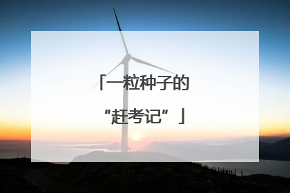 一粒种子的“赶考记”