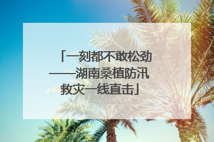 一刻都不敢松劲——湖南桑植防汛救灾一线直击
