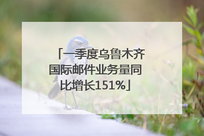 一季度乌鲁木齐国际邮件业务量同比增长151%