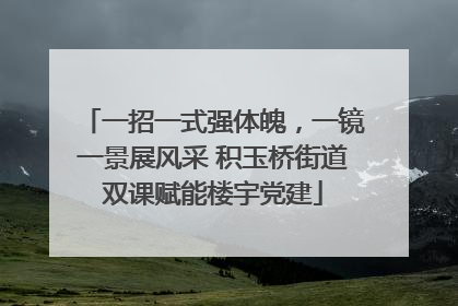 一招一式强体魄，一镜一景展风采 积玉桥街道双课赋能楼宇党建