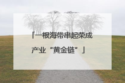 一根海带串起荣成产业“黄金链”