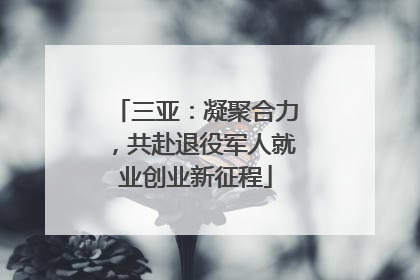 三亚：凝聚合力，共赴退役军人就业创业新征程