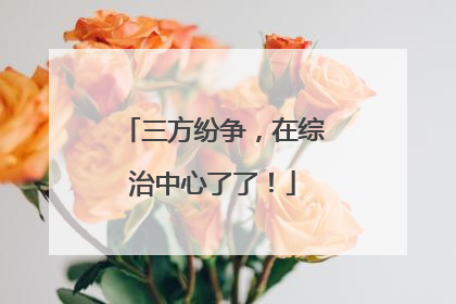 三方纷争，在综治中心了了！