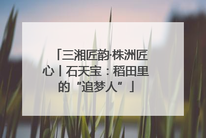 三湘匠韵·株洲匠心丨石天宝：稻田里的“追梦人”