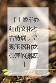上博举办红山文化考古特展，呈现玉器和龙崇拜的渊源