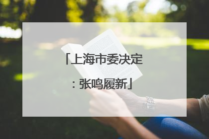 上海市委决定：张鸣履新