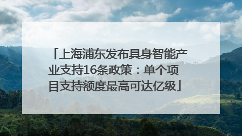 上海浦东发布具身智能产业支持16条政策：单个项目支持额度最高可达亿级