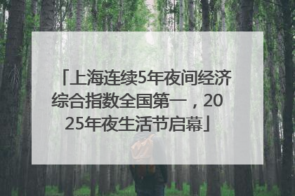上海连续5年夜间经济综合指数全国第一，2025年夜生活节启幕