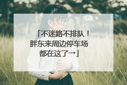 不迷路不排队！胖东来周边停车场都在这了→