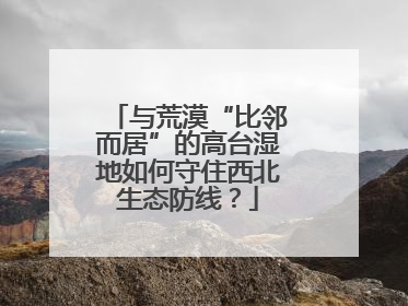 与荒漠“比邻而居”的高台湿地如何守住西北生态防线？