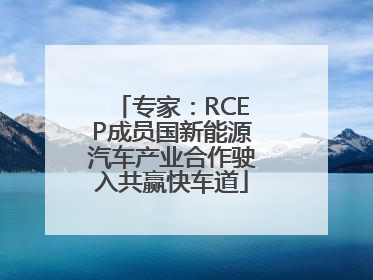 专家：RCEP成员国新能源汽车产业合作驶入共赢快车道