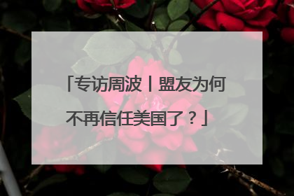 专访周波丨盟友为何不再信任美国了？