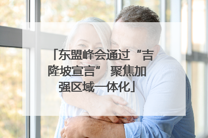 东盟峰会通过“吉隆坡宣言” 聚焦加强区域一体化