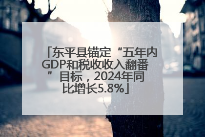 东平县锚定“五年内GDP和税收收入翻番”目标，2024年同比增长5.8%