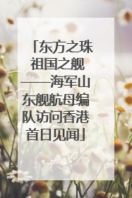 东方之珠 祖国之舰——海军山东舰航母编队访问香港首日见闻