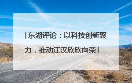 东湖评论：以科技创新聚力，推动江汉欣欣向荣