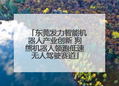 东莞发力智能机器人产业创新 狗熊机器人领跑低速无人驾驶赛道