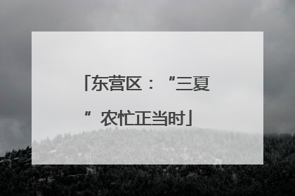 东营区：“三夏”农忙正当时