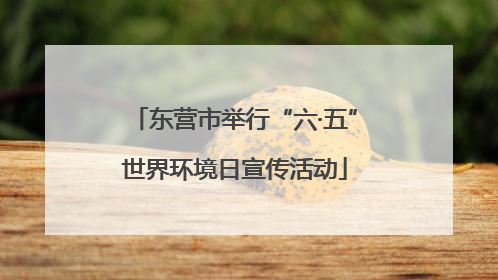 东营市举行“六·五”世界环境日宣传活动