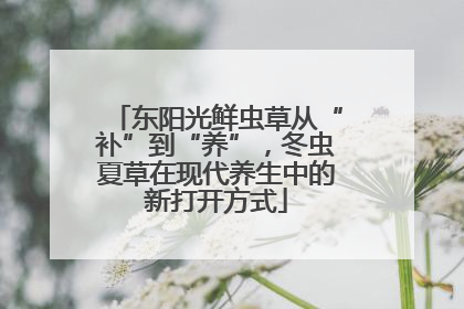 东阳光鲜虫草从“补”到“养”，冬虫夏草在现代养生中的新打开方式