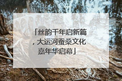 丝韵千年启新篇，大运河蚕桑文化嘉年华启幕